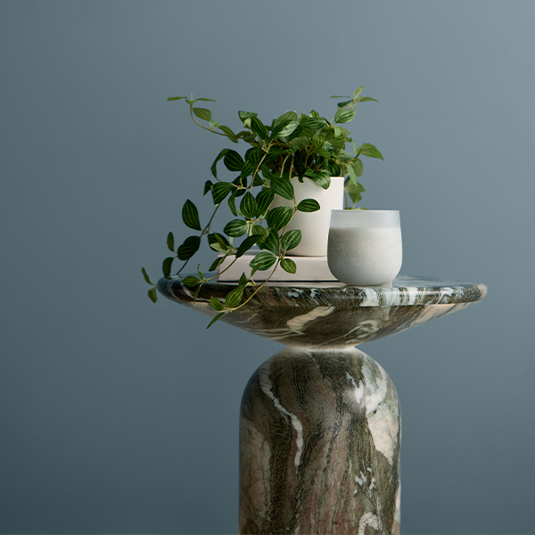 Potted green plant displayed on a sculptural pedestal against a Cottage Door blue-gray background, highlighting the color's versatility and organic appeal.