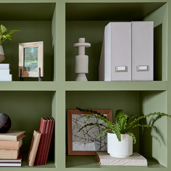 fresh cilantro bookshelf